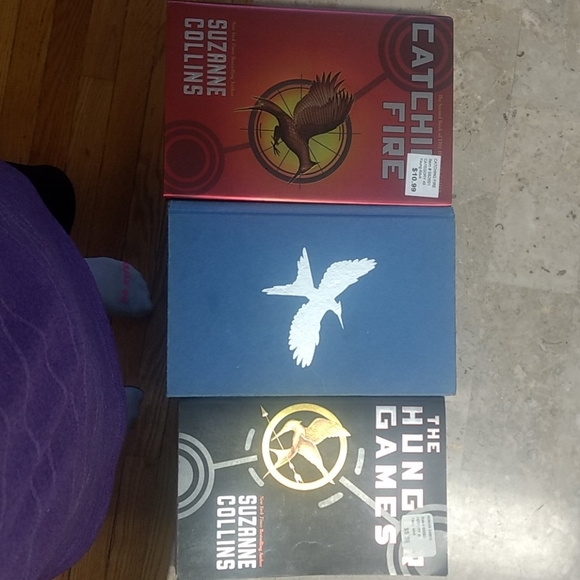 The Hunger Game Series - Picture 1 of 4
